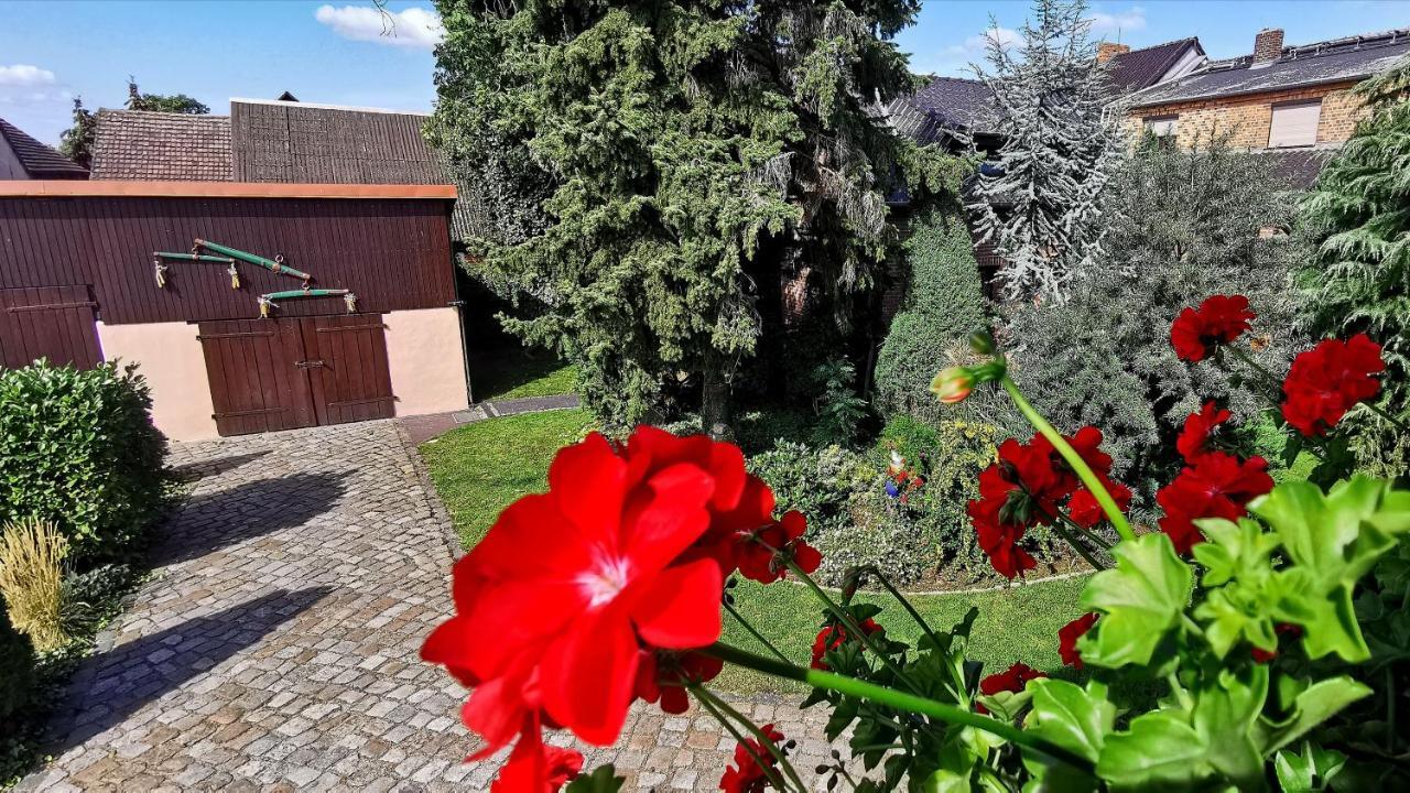 Ferienwohnungen Dirk Laurisch Radensdorf 외부 사진
